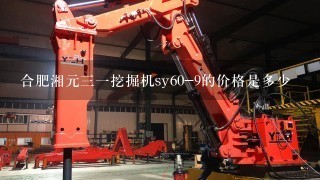 合肥湘元31挖掘机sy60-9的价格是多少