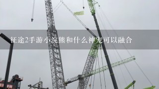 征途2手游小浣熊和什么神宠可以融合