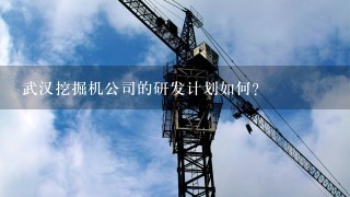 武汉挖掘机公司的研发计划如何?